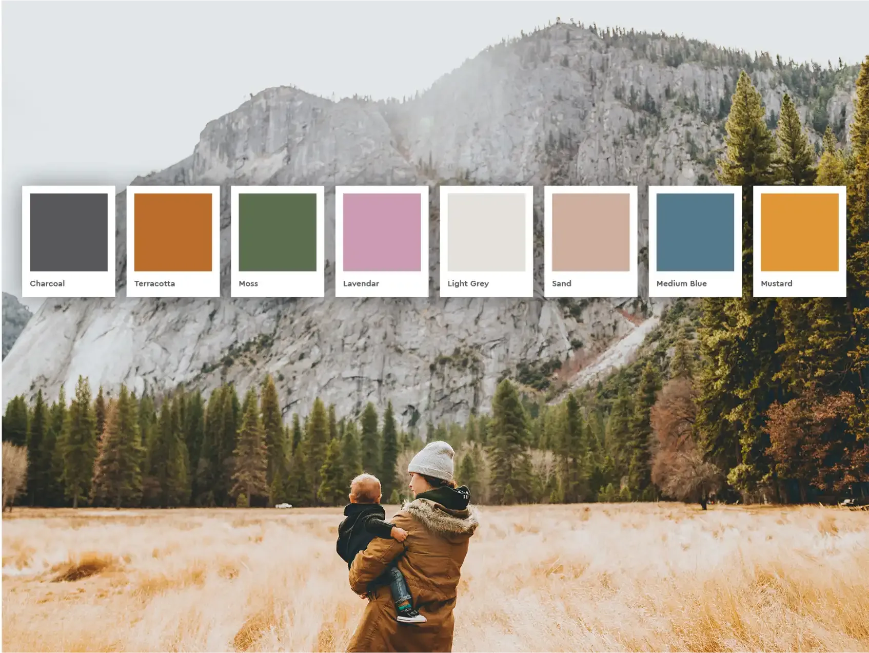 Yukon Midwifery Program colour palette by MBDC, featuring natural tones like terracotta, moss and sand, inspired by Yukon’s landscapes.