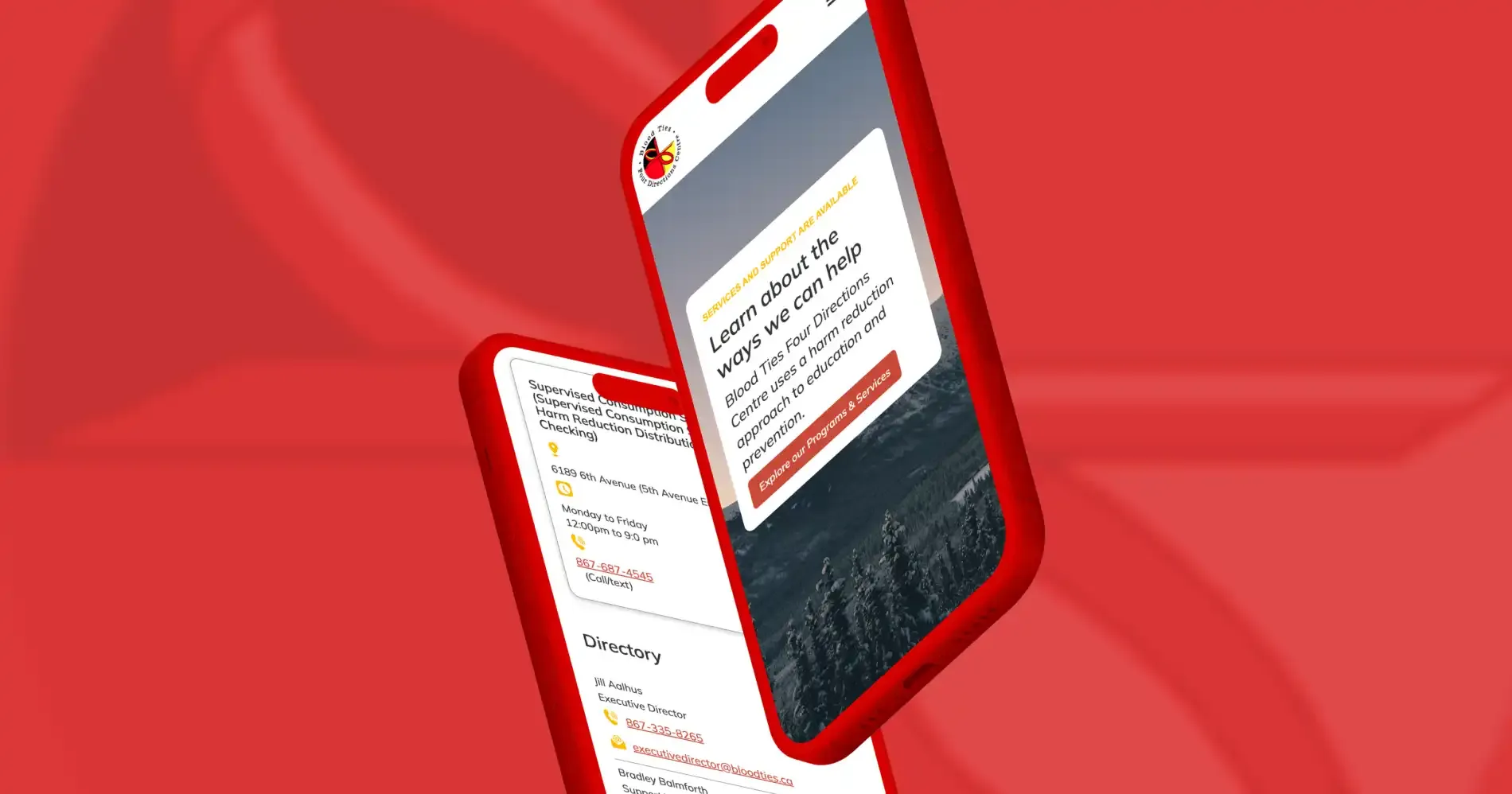 Blood Ties Four Directions Centre website design example.
