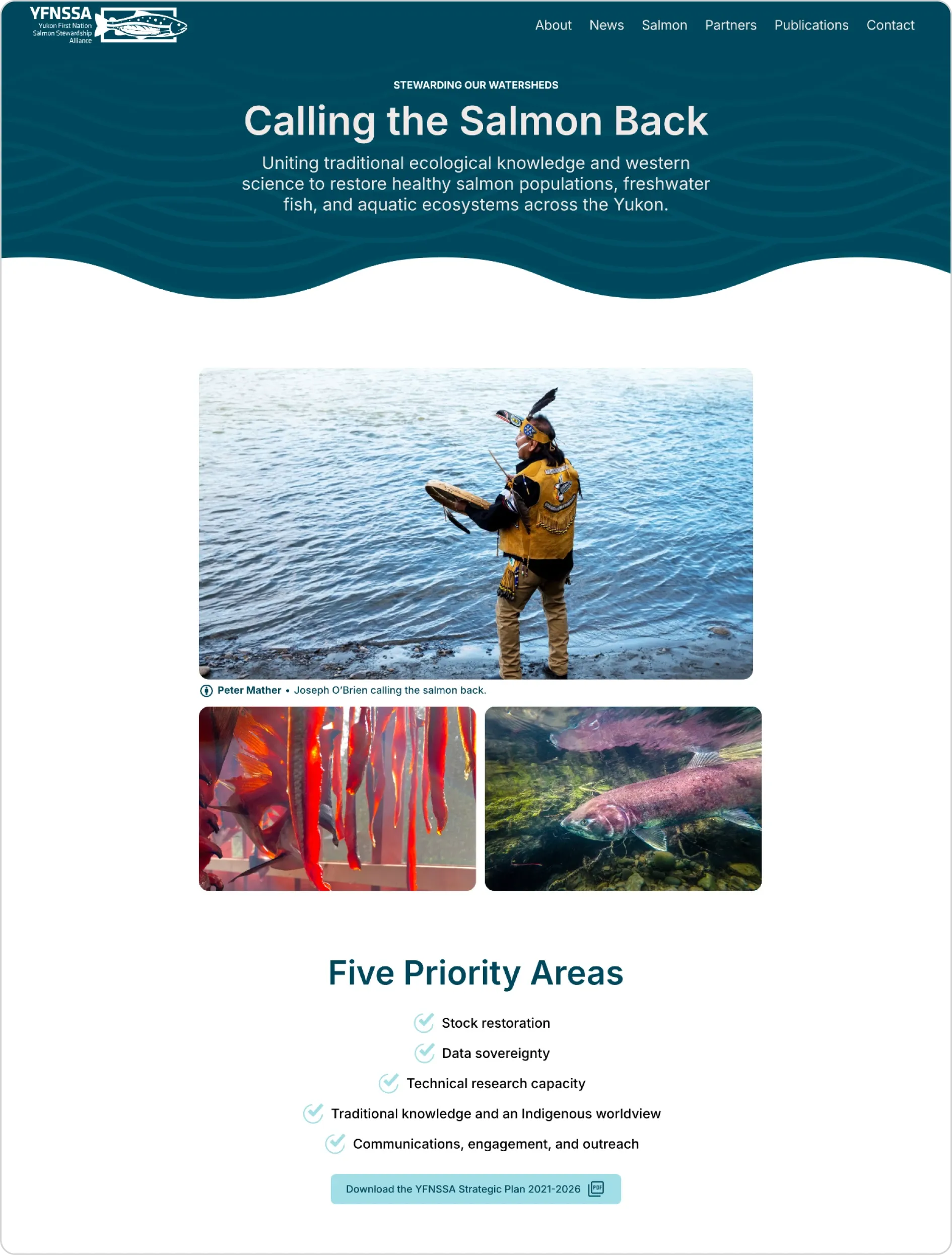 Sample screenshot of the Yukon First Nation Salmon Stewardship Alliance website home page.